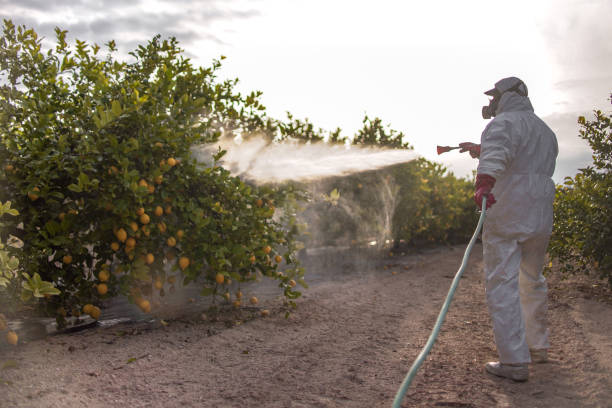Best Pest Prevention Services  in Newnan, GA