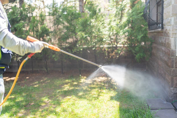 Best Affordable Pest Control Services  in Newnan, GA