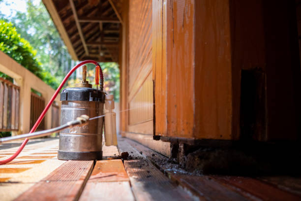 Best Insect Control  in Newnan, GA