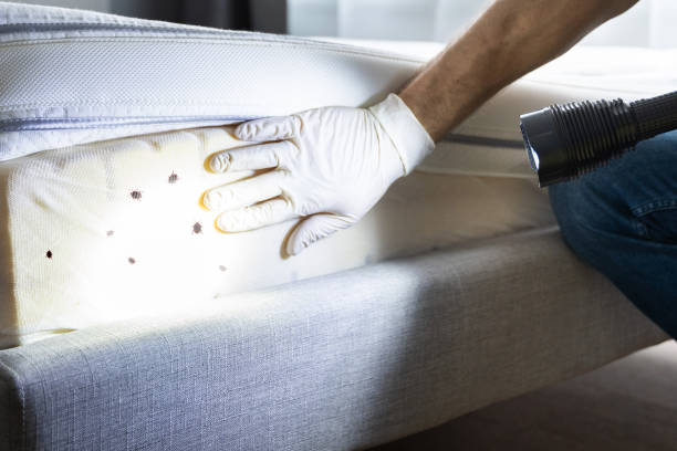 Trusted Newnan, GA Pest Control Experts