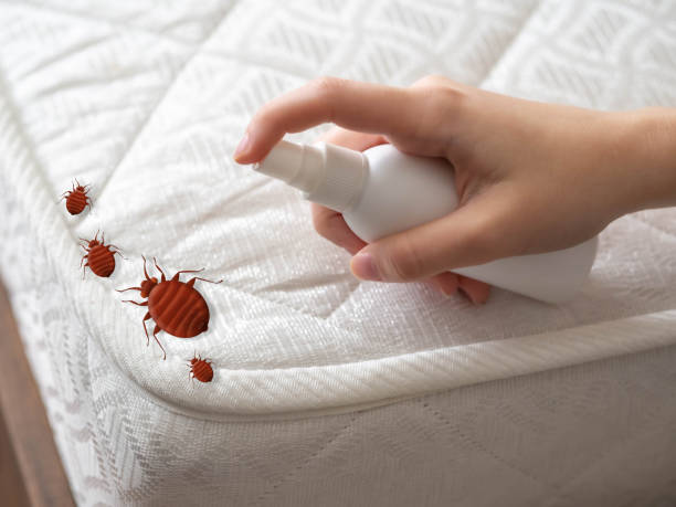 Best Local Pest Control Services  in Newnan, GA