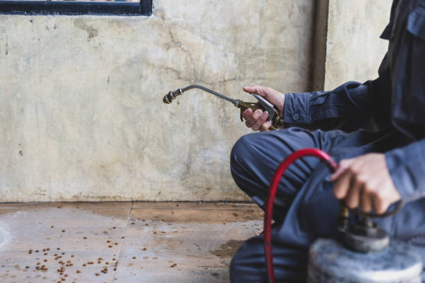 Best Wasp Removal Services  in Newnan, GA